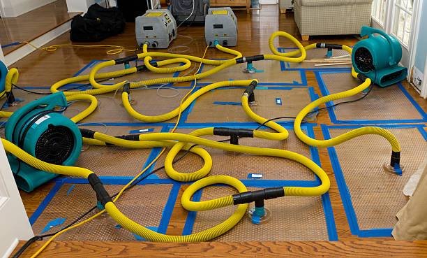 Professional Water Damage Repair technician working in West Palm Beach, FL